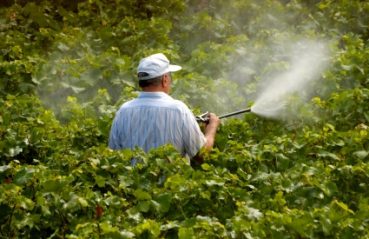 323-p5i25trm55aobwdsb8tpxg1v96wcy3woasbnd43ic6