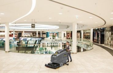 cats-p5i25trm55aobwdsb8tpxg1v96wcy3woasbnd43ic6