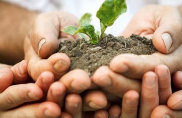 unnamed-13-p5i25trm55aobwdsb8tpxg1v96wcy3woasbnd43ic6